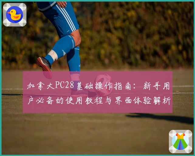 加拿大PC28基础操作指南：新手用户必备的使用教程与界面体验解析
