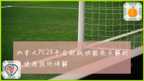 加拿大PC28平台新版功能亮点解析及使用技巧详解