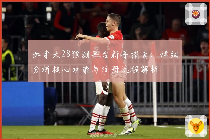 加拿大28预测平台新手指南：详细分析核心功能与注册流程解析