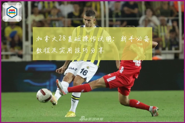 加拿大28基础操作说明：新手必备教程及实用技巧分享