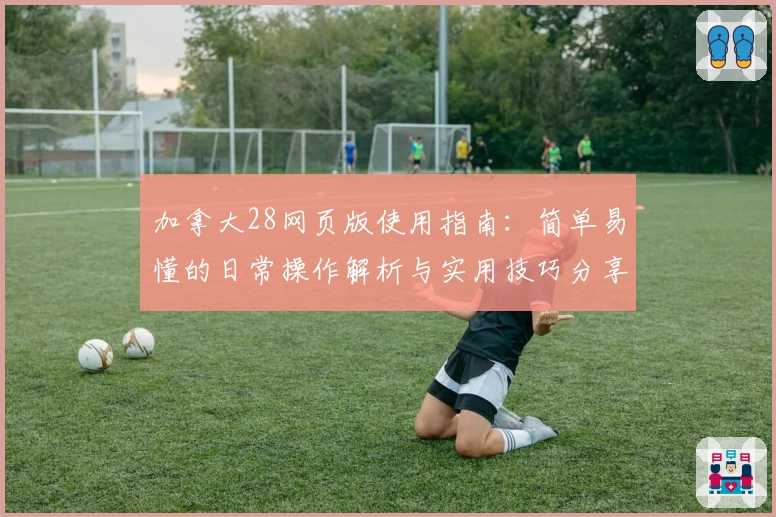 加拿大28网页版使用指南：简单易懂的日常操作解析与实用技巧分享