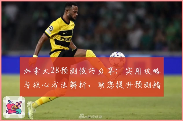 加拿大28预测技巧分享：实用攻略与核心方法解析，助您提升预测精准度