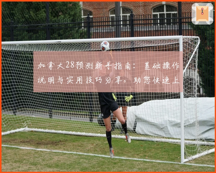 加拿大28预测新手指南：基础操作说明与实用技巧分享，助您快速上手体验