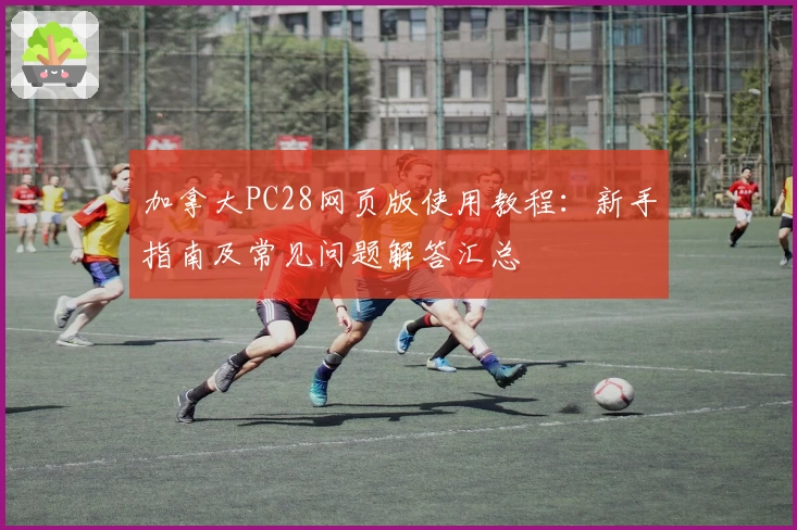 加拿大PC28网页版使用教程：新手指南及常见问题解答汇总
