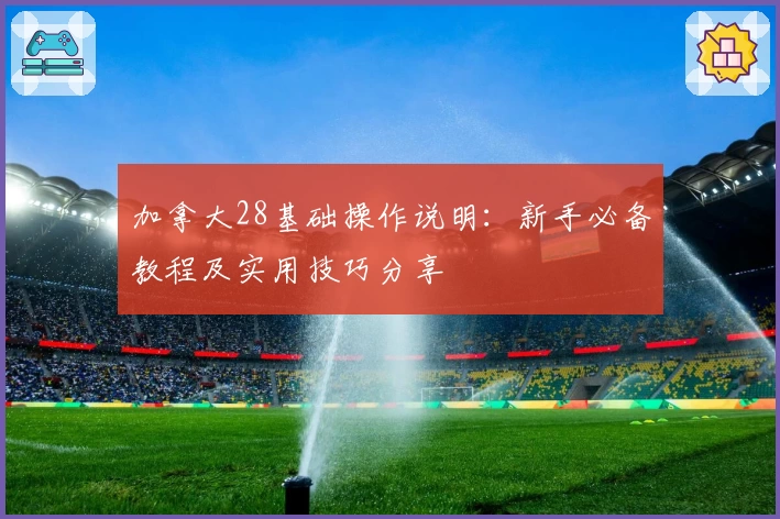 加拿大28基础操作说明：新手必备教程及实用技巧分享